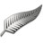 Silver Fern Icon